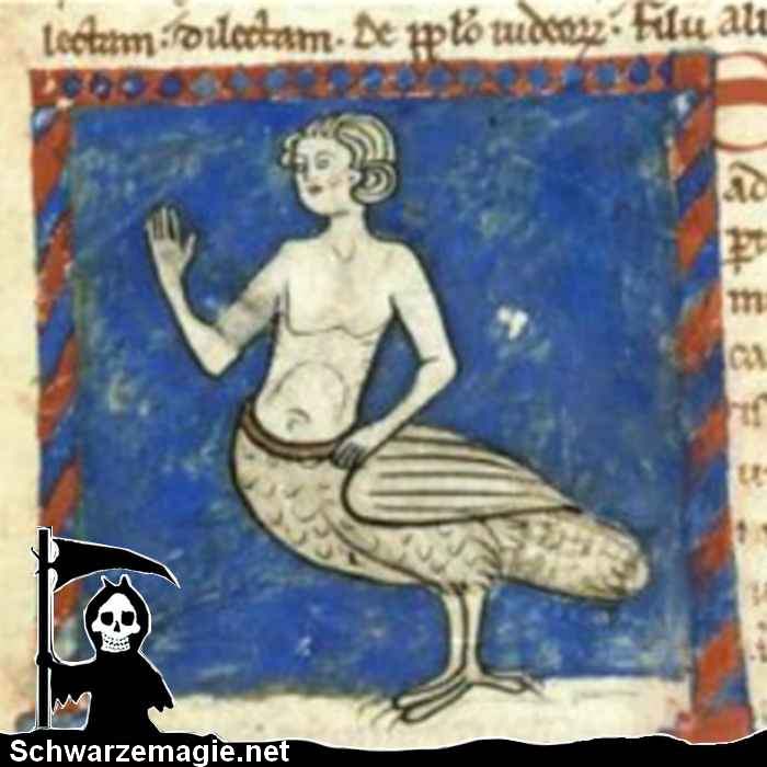 Eine Sirene (altgriechisch Σειρήν Seirēn) ist in der griechischen Mythologie ein meist weibliches, in Darstellungen bisweilen bärtiges Fabelwesen.